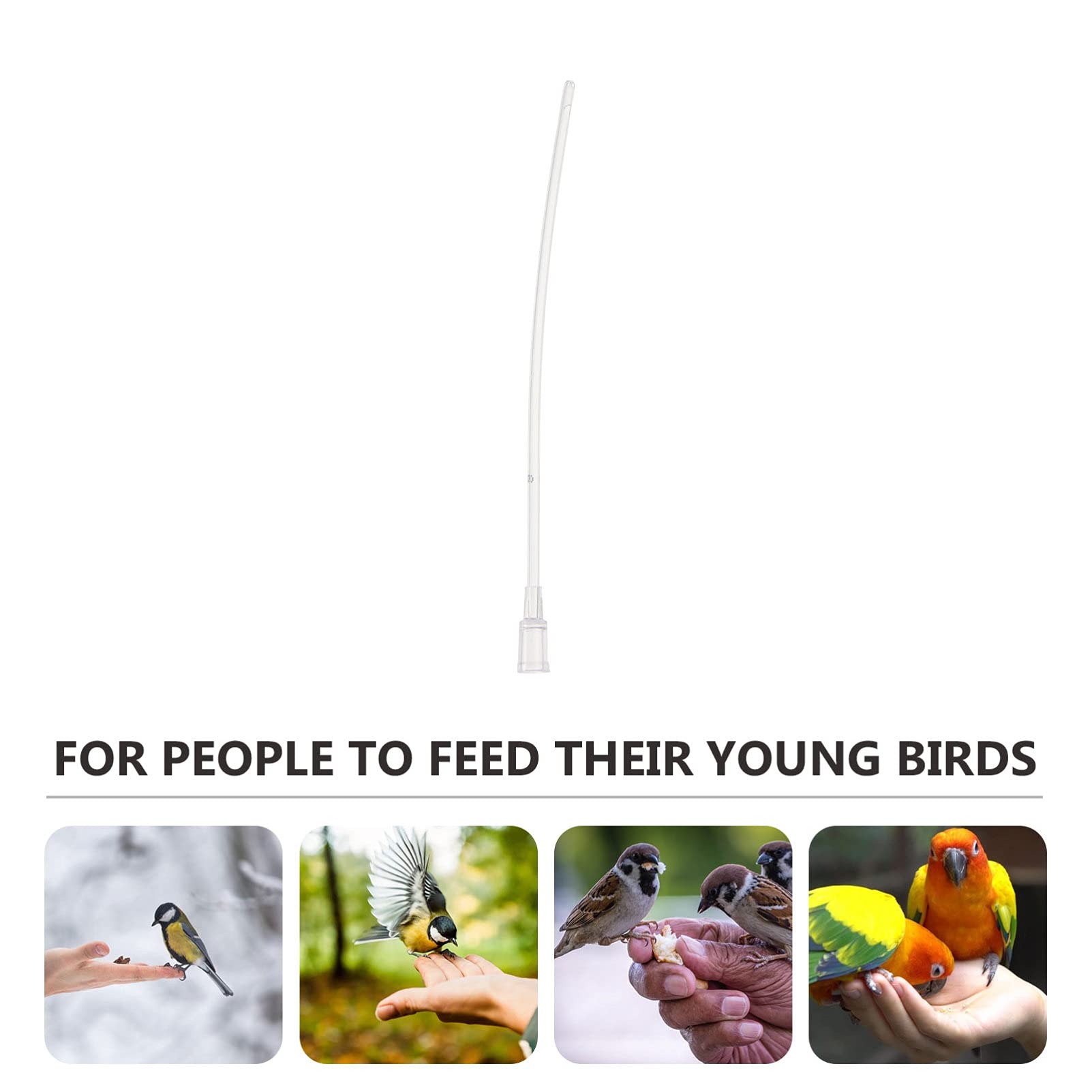 Tractor Supply Bird Feeders Bird Feeding Hoses - 5-Pack Transparent Plastic  Hand Feeding Tools For Baby Birds Milk \u0026 Water Best Bird Feeders Reviews, image size:1602x1602