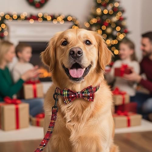 Miniatura 183 de PETDURO Collar de perro personalizado con nombre y teléfono grabado en hebilla de metal – Personalizado para perros medianos y grandes – Impresiones