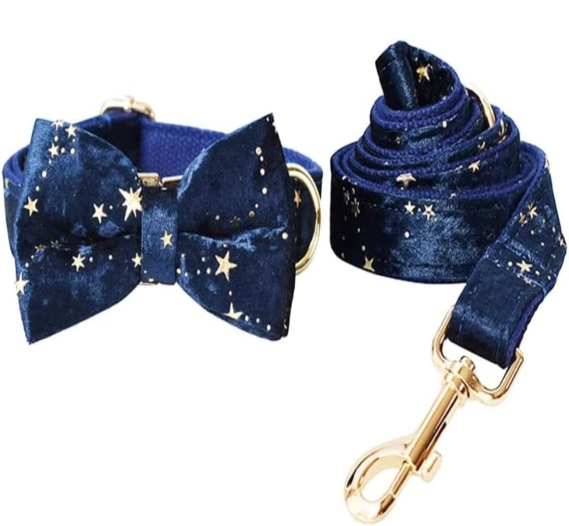 Smycze Dla Zwierząt Domowych Regulowana Obroża Dla Psa I Zestaw Smyczy Gold Glitter Stars Custom ID Obroża Dla Zwierząt Domowych Z Muszką Artykuły Dla Zwierząt(20-29cm)