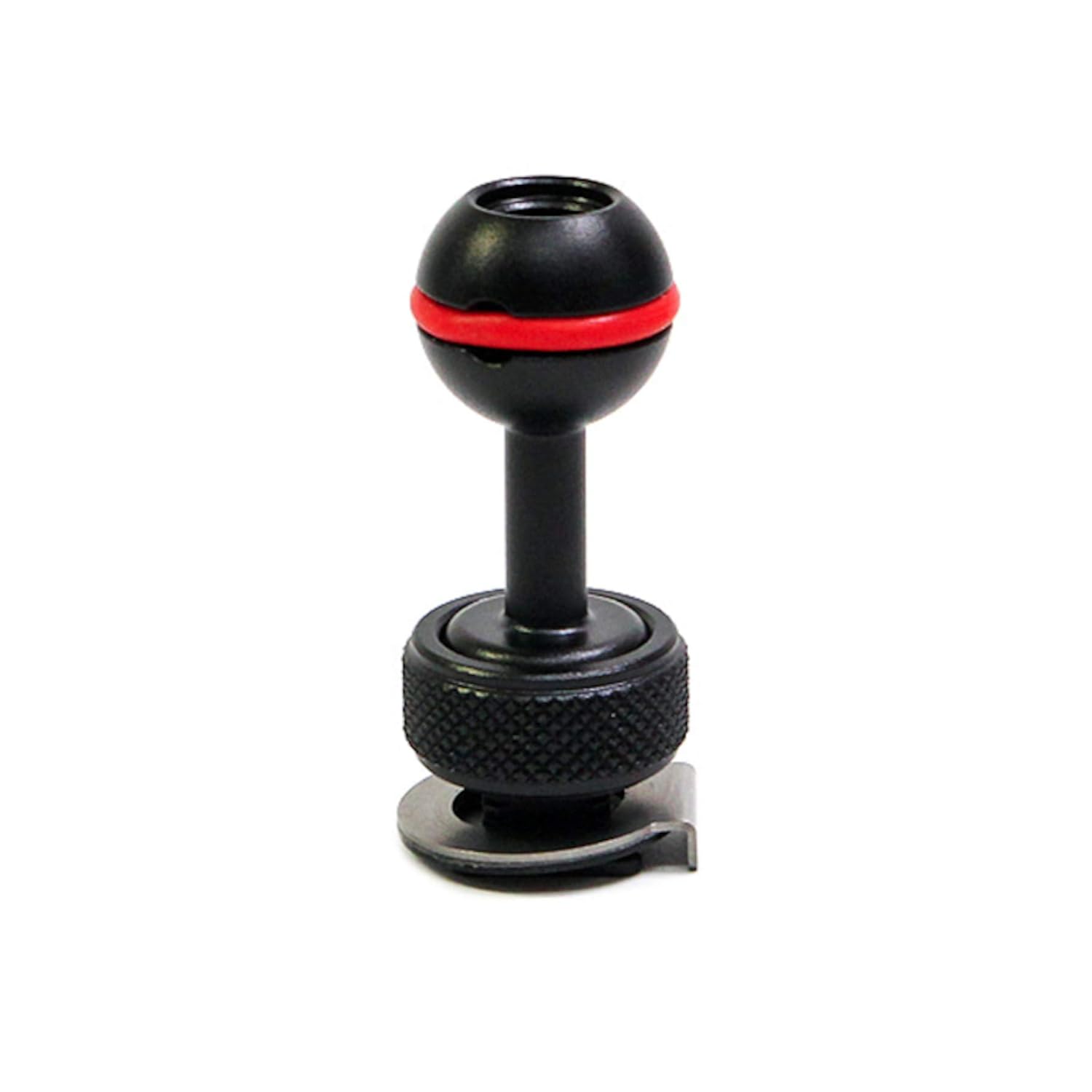 Buy DIVEROID Hot Shoe Ball Mount Online at Low Prices in India Amazon.in