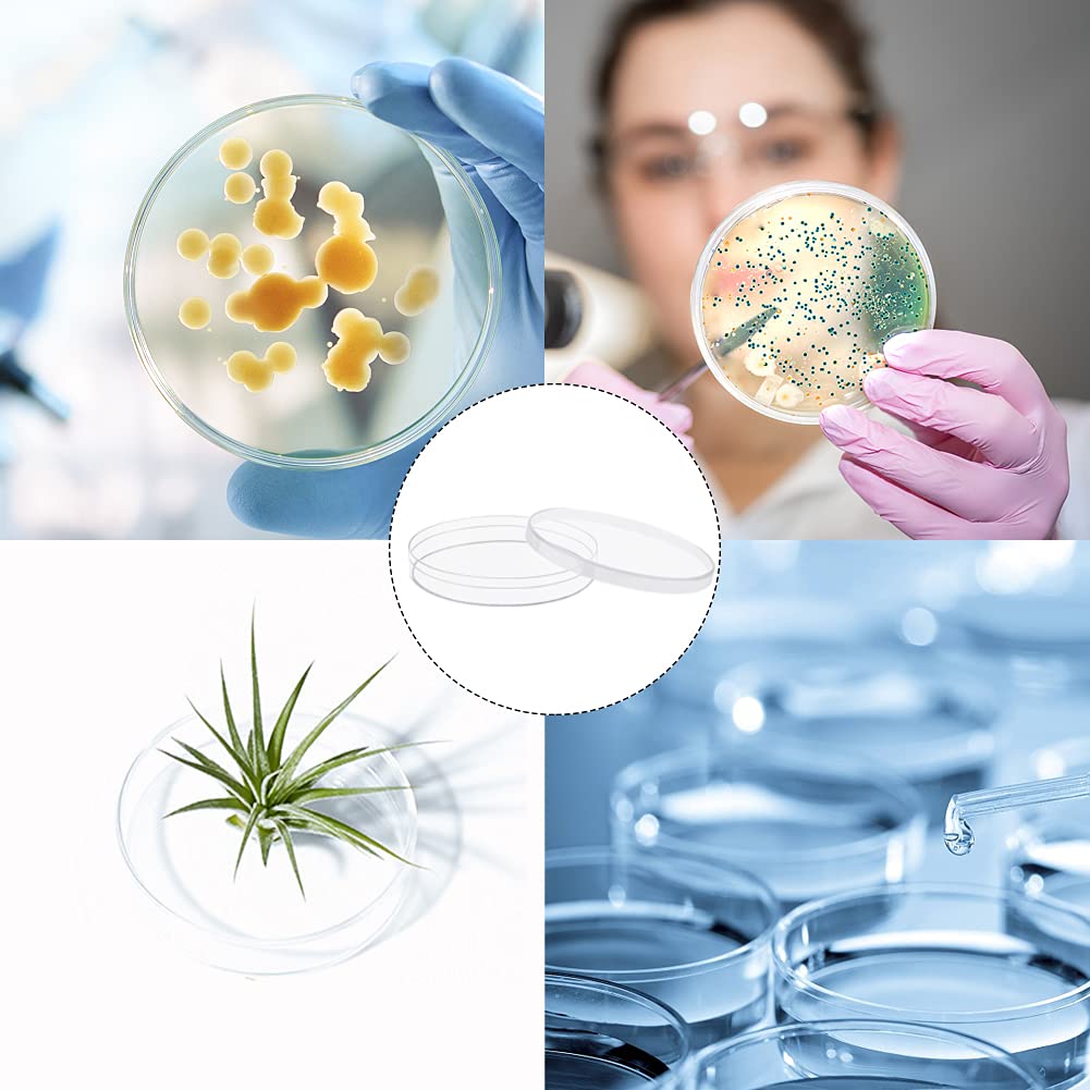 Paquete de 30 platos de plástico estéril Petri con tapa 90 mm de diámetro con 30 unidades de pipetas de transferencia de plástico cuentagotas de ojo de 3 ml para experimentos de laboratorio de ciencia