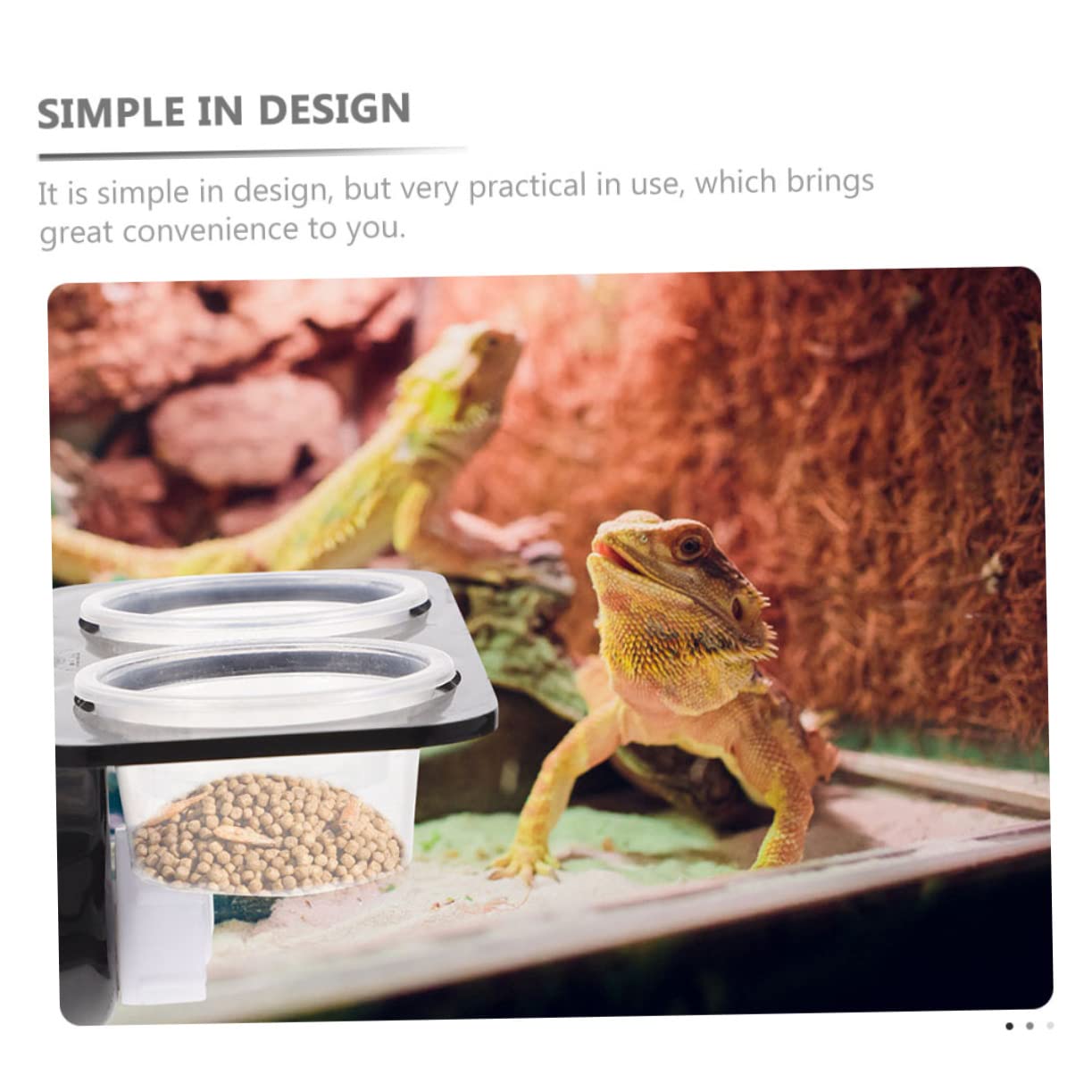 Angoily 4sets Ciotole per Rettile con Design Ventosa Mangiatoia Pratica per Terrario con Supporto Accessorio per Animali Domestici per Cibo Facile da Installare e Manutenere