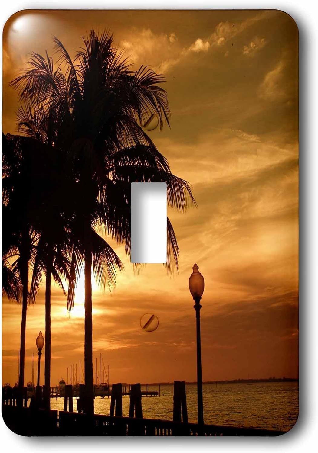 3dRose lsp_16855_6 Tropical Copper 2 Plug Outlet Cover