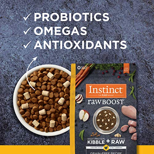 instinct raw boost cat