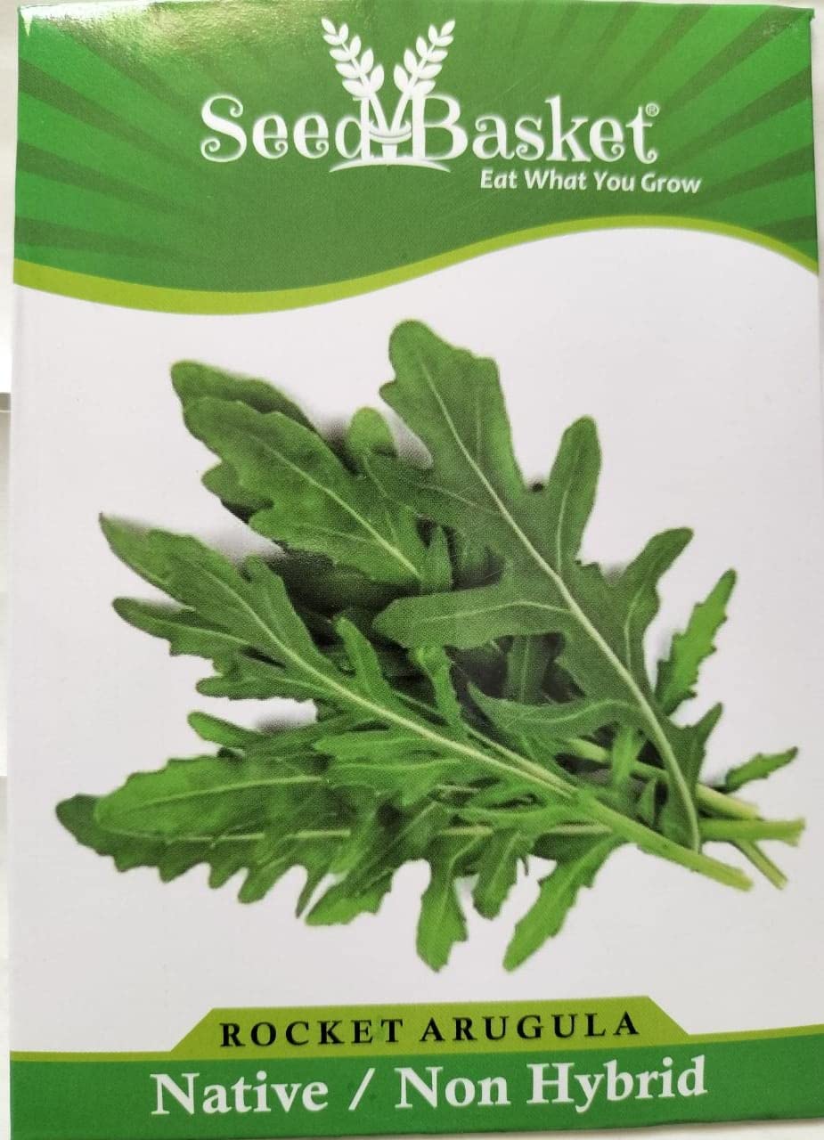 Seed Basket Exotic Rocket Arugula All Seasons Vegetable Seeds For Home Gardening- (300 Seeds- With More Than 70% Germination) And Instruction Manual (B09D3PQJ27) Amazon Price History, Amazon Price Tracker