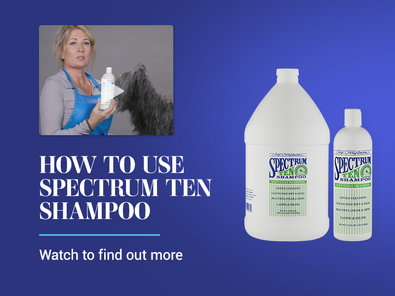 Amazon.com : Chris Christensen Spectrum Ten Dog Shampoo, Groom