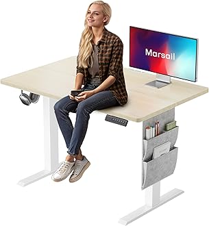 Marsail Electric Standing Desk, 40x24 Inch Adjustable Height Home Office Gaming Desk with 4 Memory Presets, Storage Bag, Stand-Up Desk for Computer Workstations. Headphone Hook,Cable Organizer