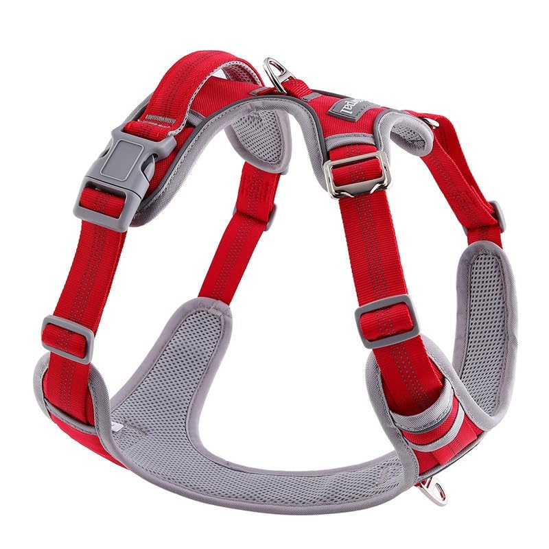Dog Harness and Leash Set – Adjustable Dog Collar and Vest Harness for Dogs, Durable Pechera para Perros Medianos – Arnes Perro with Leash– S, M, L, XL Dog Harness and Leash Set - Image 6