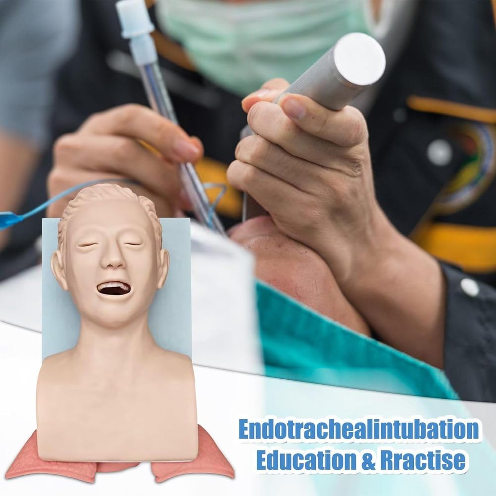 Modello adulto di addestramento dell'intubazione tracheale con il regolatore del laringoscopio per la gestione delle vie aeree orofaringee di emergenza e le caratteristiche anatomiche