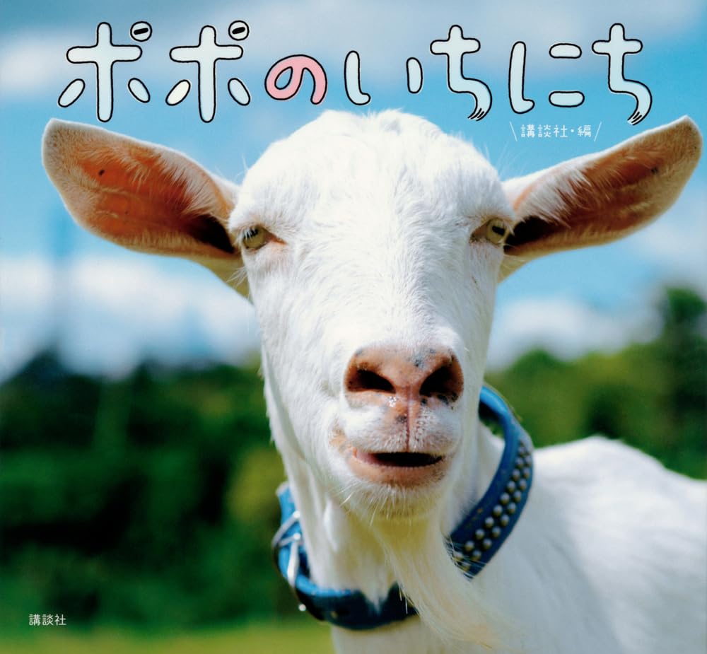 しみのぽぽんページ しみのぽぽん様 リクエスト 15点 まとめ商品