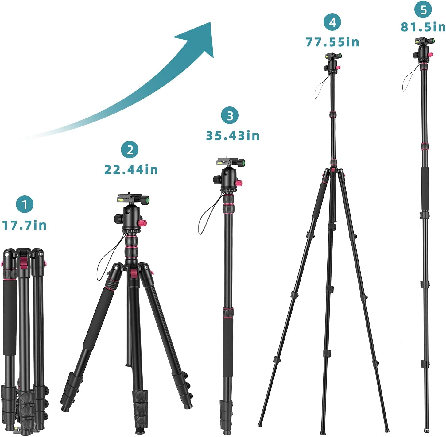 ROXTAK 80" Camera Tripod & Monopods,Professional Compact Aluminum Travel Tripods for DSLR with 360 Degree Ball Head and 2 Quick Release Plates,Compatible for Canon,Nikon,Sony,Samsung,Olympus&Panasonic : Electronics