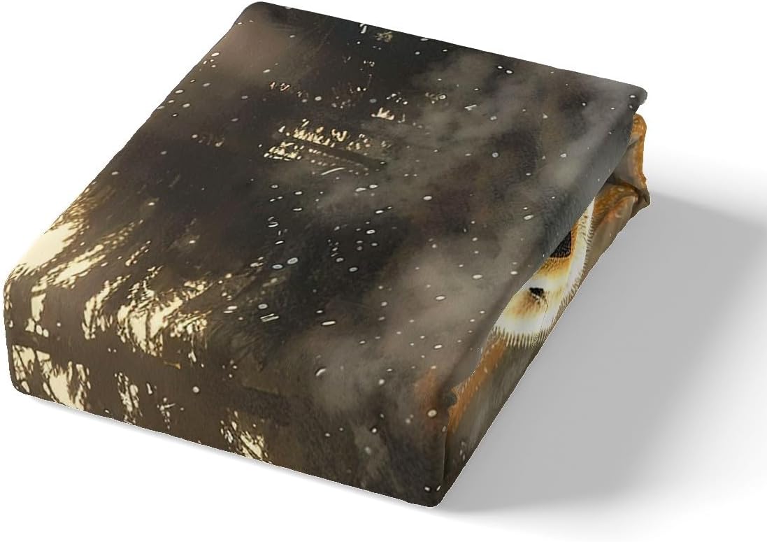 Sea Otter Duvet Cover (NO Comforter),Wildlife Otter Couple Swimming Breathable Comforter Cover for Kids Bedroom Decor,Cute Otter Jungle Adventure Comforter Cover 3 Pcs with 2 Pillowcases Queen Size