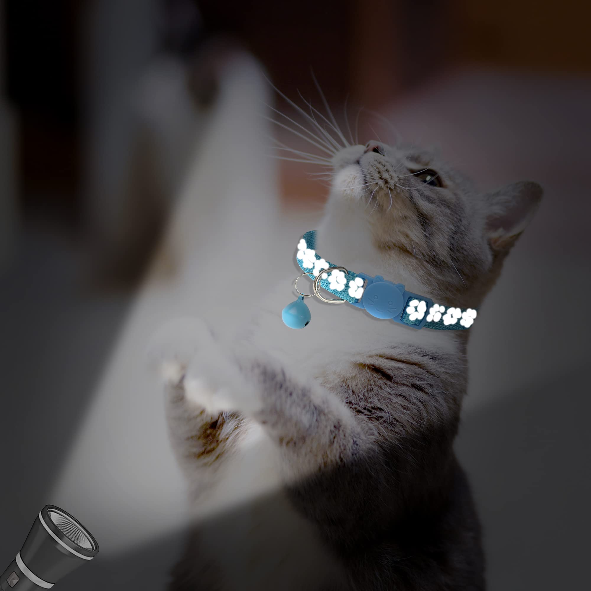 Reflektierendes Katzenhalsband, mit Glöckchen, personalisierbar, verstellbare Sicherheitsschnalle, Halsband für Männer, Katzen, Mädchen und Jungen, Himmelblau, 2 Stück