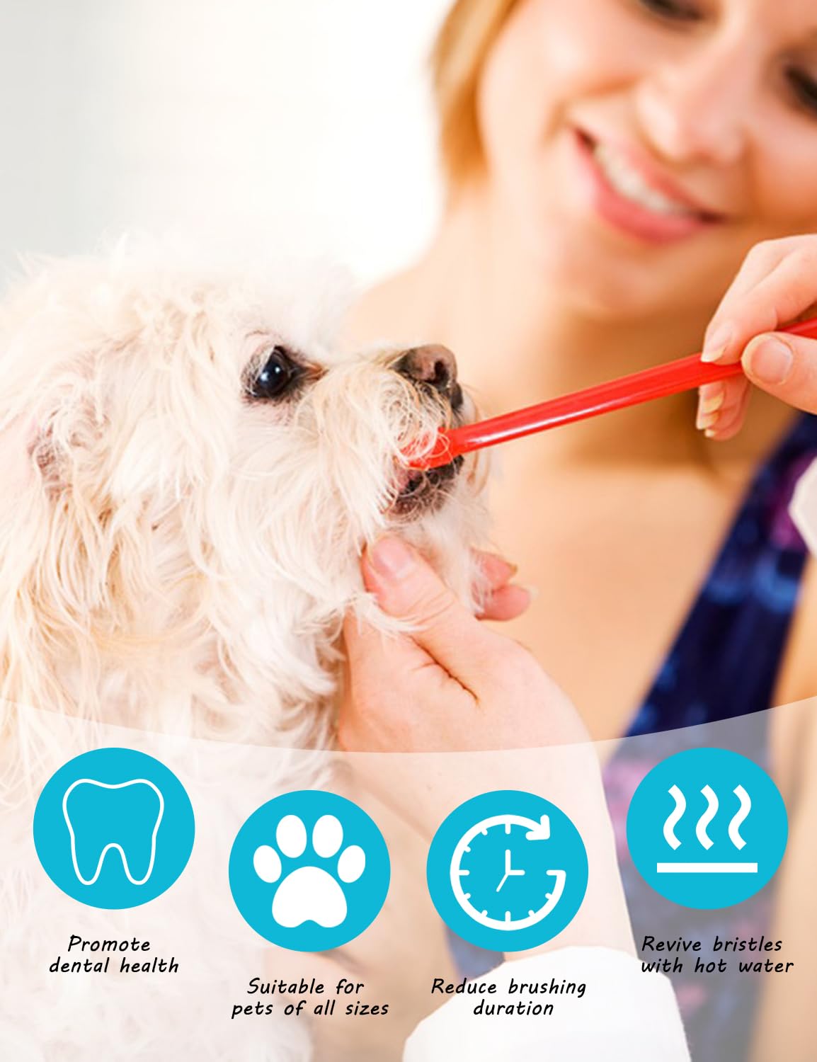 Kit de brosse à dents pour chien, double tête pour chiens de petite et grande taille, chats, chiots et la plupart des animaux de compagnie, poils souples, brosses à dents à long manche, brosse à dents