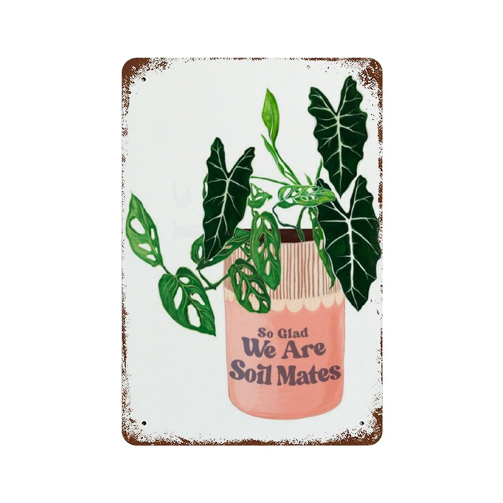 peiyeety Valentines Gift So Glad We are Soil Mates Plant Parent Plant Lover Antique Metal Tin Sign Metal Tin Sign Wall Decor for Home Cafes Pubs Club Man Cave Sign Gift 8x5.5 Inch