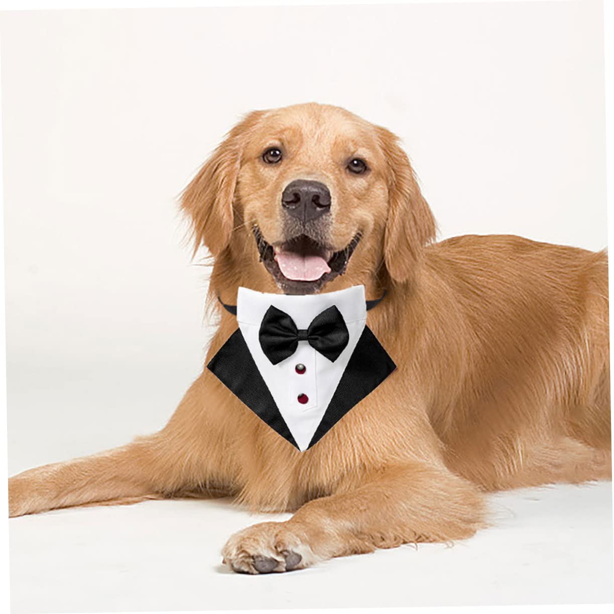 VICASKY Costume Et Bandana pour Chien Smoking pour Chien De Costume Et Bandana pour Animal De Compagnie