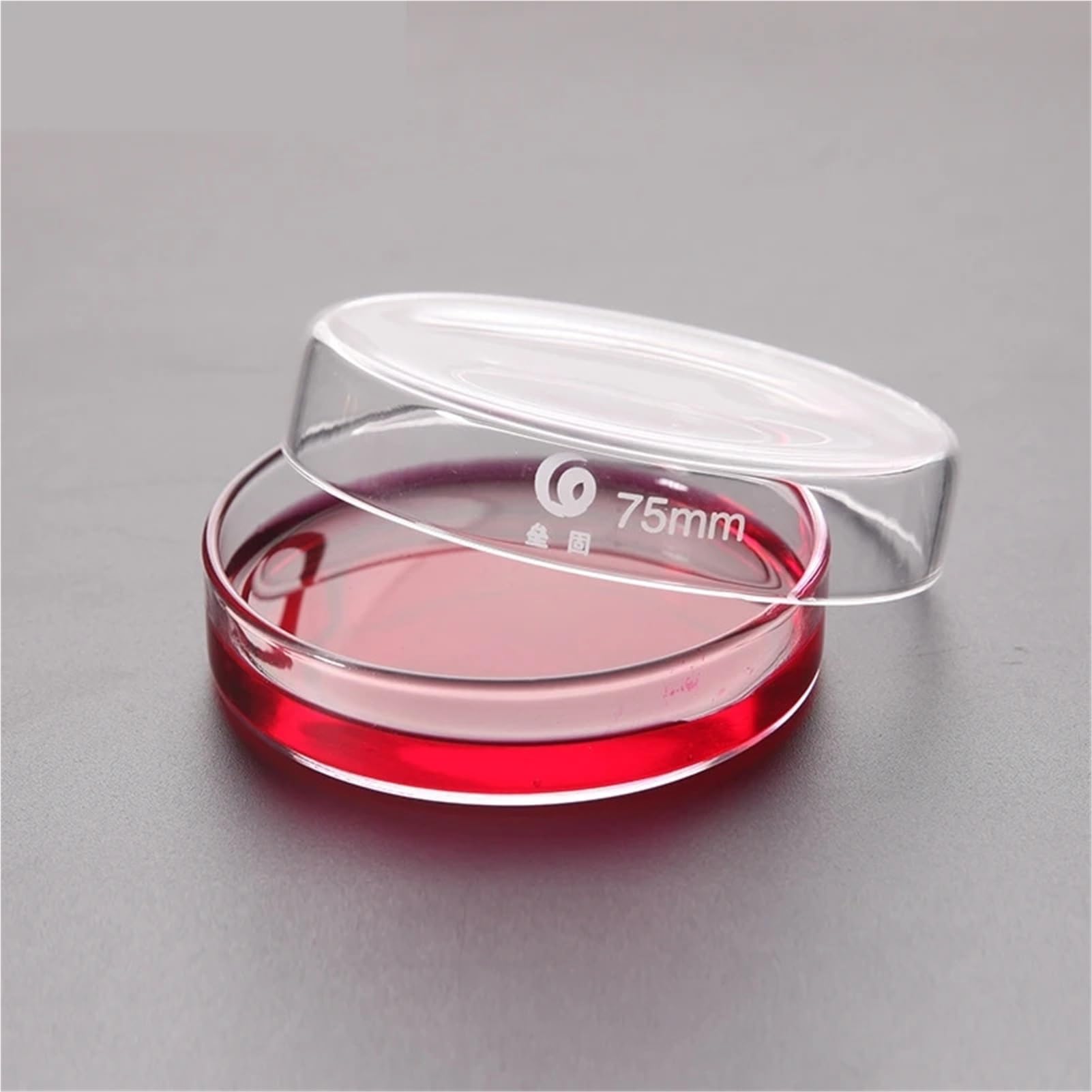 Paquete de 10 placas Petri de vidrio Boro de 75 mm, asequibles para celdas transparentes químicas utilizadas para el cultivo de bacterias