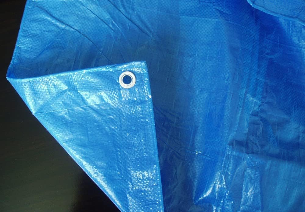 eacommerce - Telo Telone occhiellato in Polietilene | Impermeabile Multiuso | Resistente e Antistrappo | Fissaggio Facile con Occhielli in Alluminio, Blu, 40 g/m² | 2x3 Metri