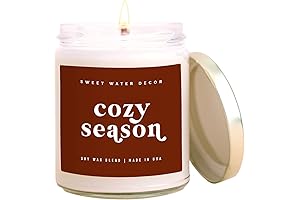Cozy Season Soy Candle: Autumn Delights at a Clearance Price