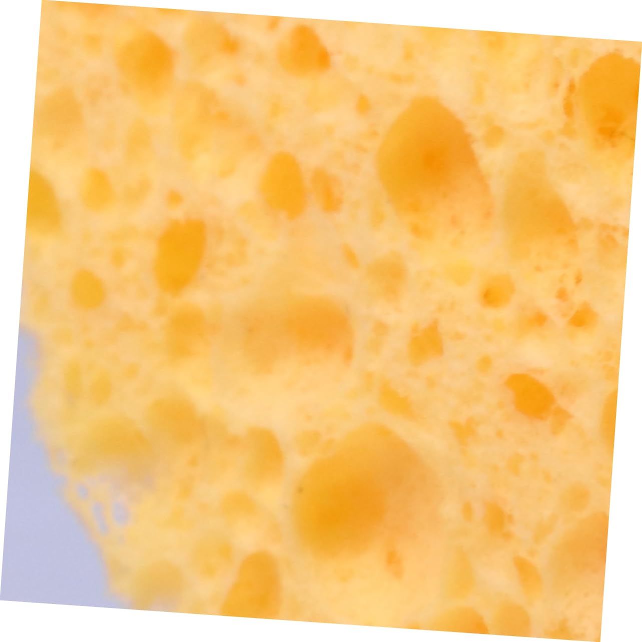 Healeved 100pezzi Pz Spugne Cellulosa Naturale Per Pulizia Viso Strumenti Per Rimozione Make-up Morbide e Delicate Formato Rotondo Per Esfoliazione e Detersione Pori