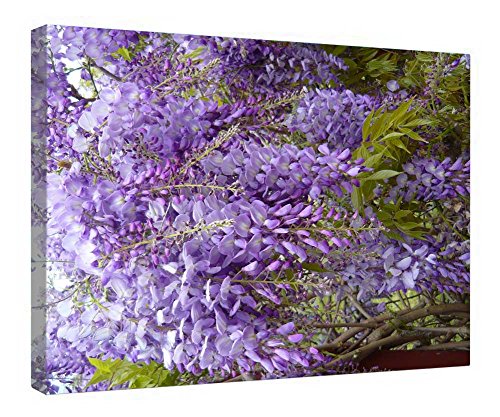 Toile encadrée en bois Mauve enchanteur cadre photo mural salon chambre