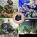 YH YUANHUA Submersible Water Pump 6.1ft Power Cord Ultra Quiet Pump with Dry Burning Protection 200GPH for Fountains, Hydroponics, Ponds, Statuary, Aquariums - More …