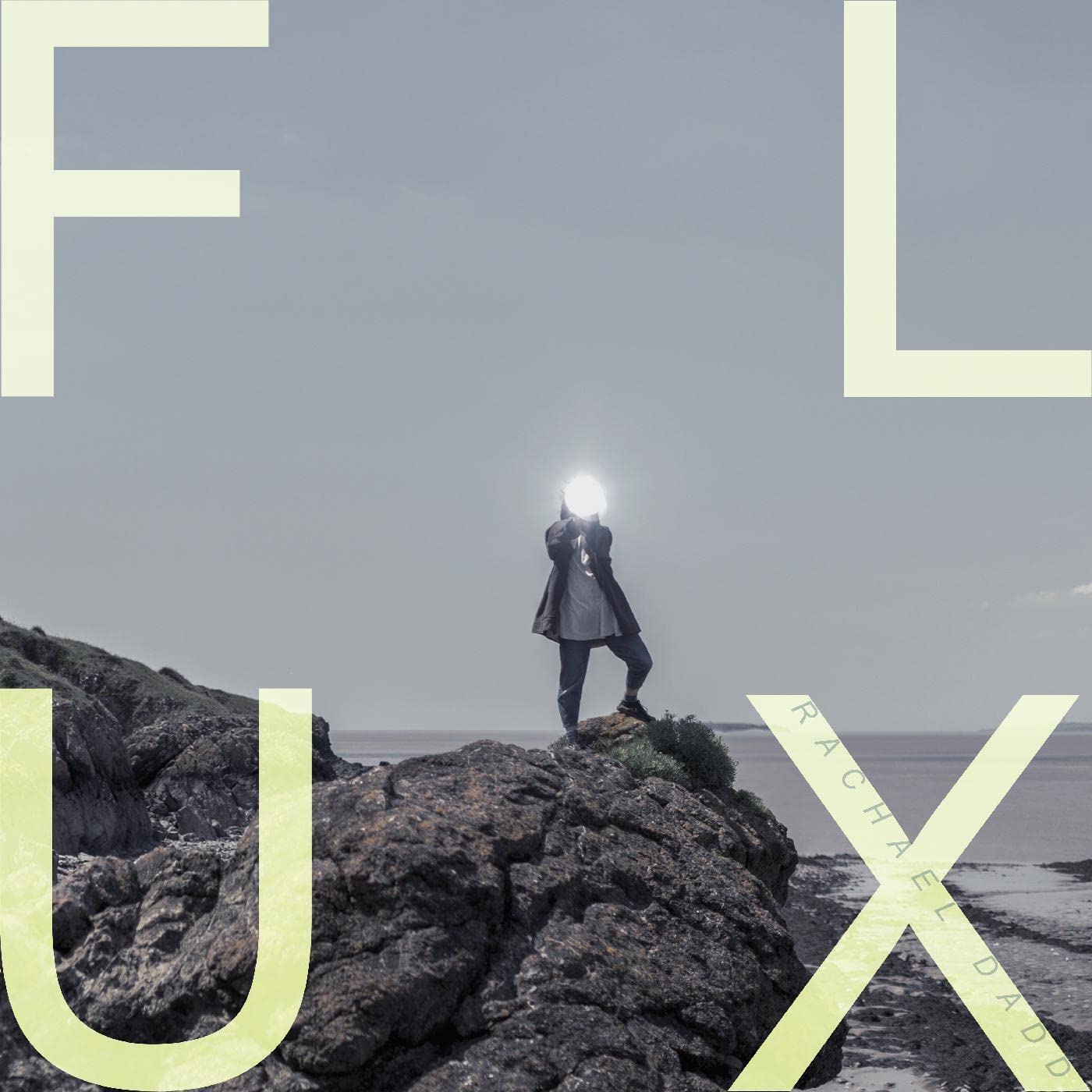 FLUX [VINYL]