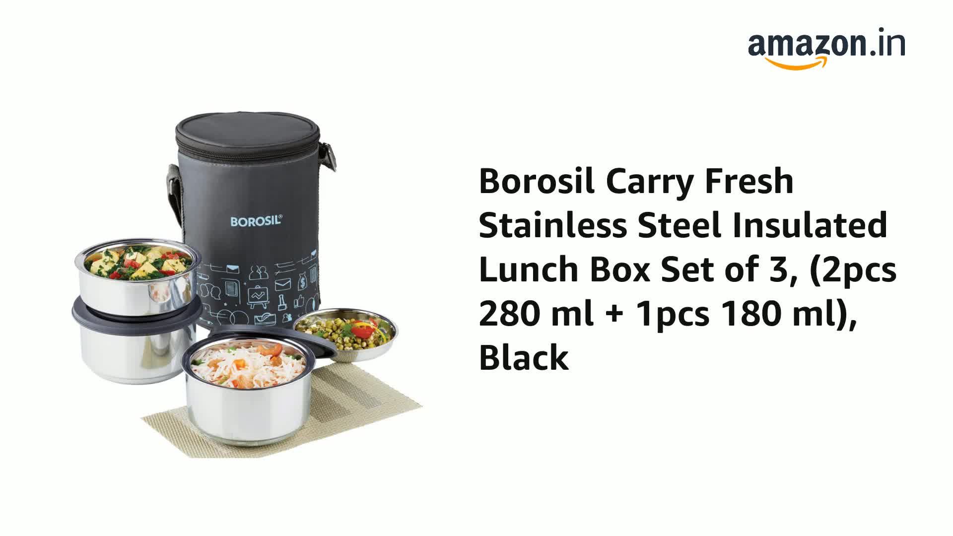 borosil carry fresh stainless steel insulated lunch box