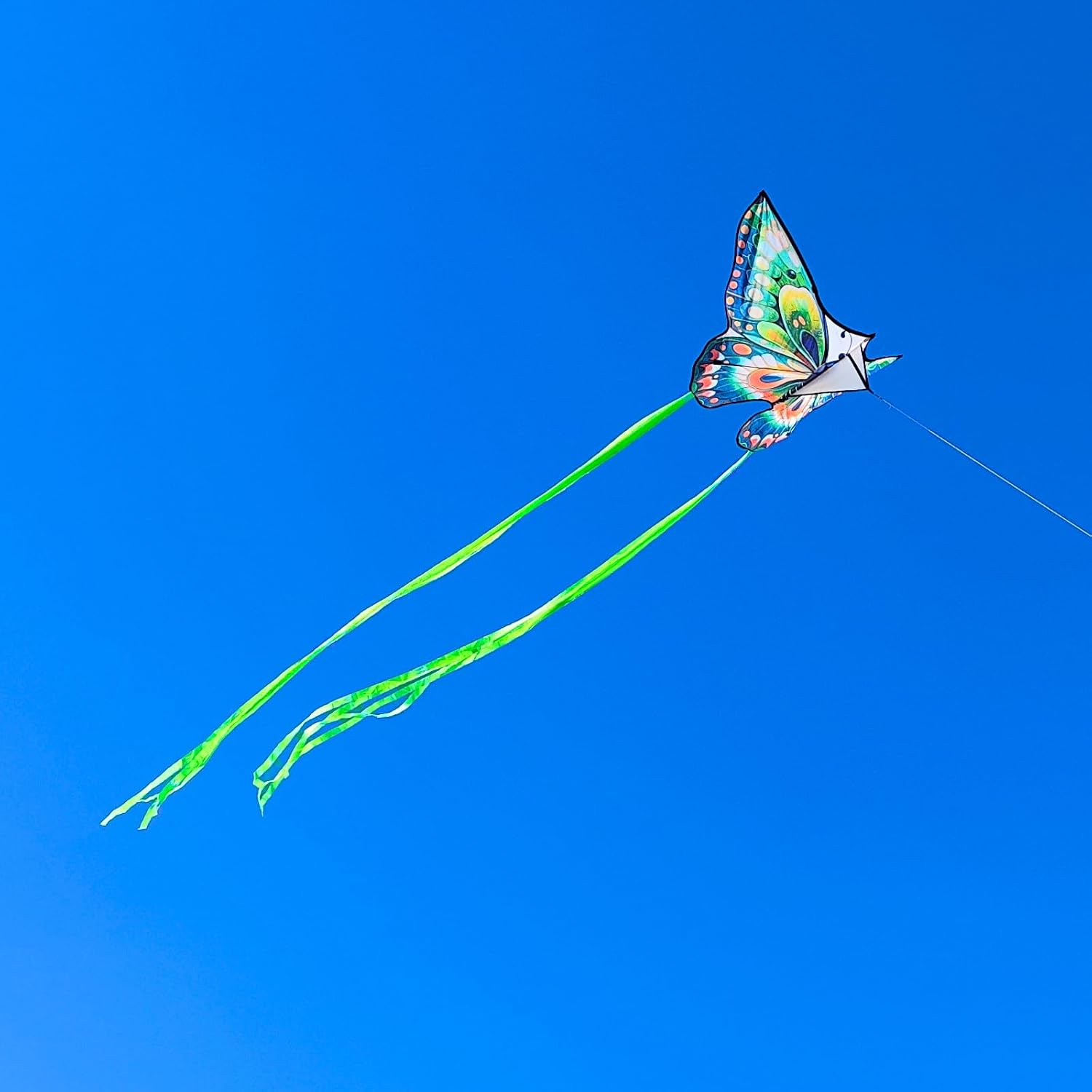 Mint's Colorful Life Butterfly Kite for Kids & Adults, 55" x 28" Large Kite for Boys & Girls, Easy to Fly Kites for Beginners, Beach Single Line Kites with 300ft String Handle