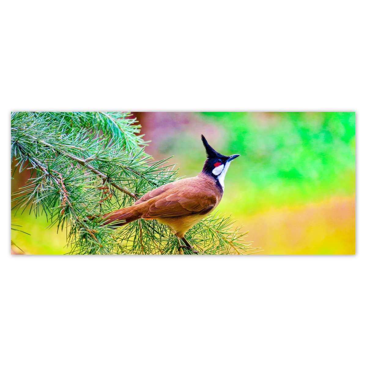 Papier peint intissé oiseau sur branche 250x104 cm idéal pour une chambre sereine