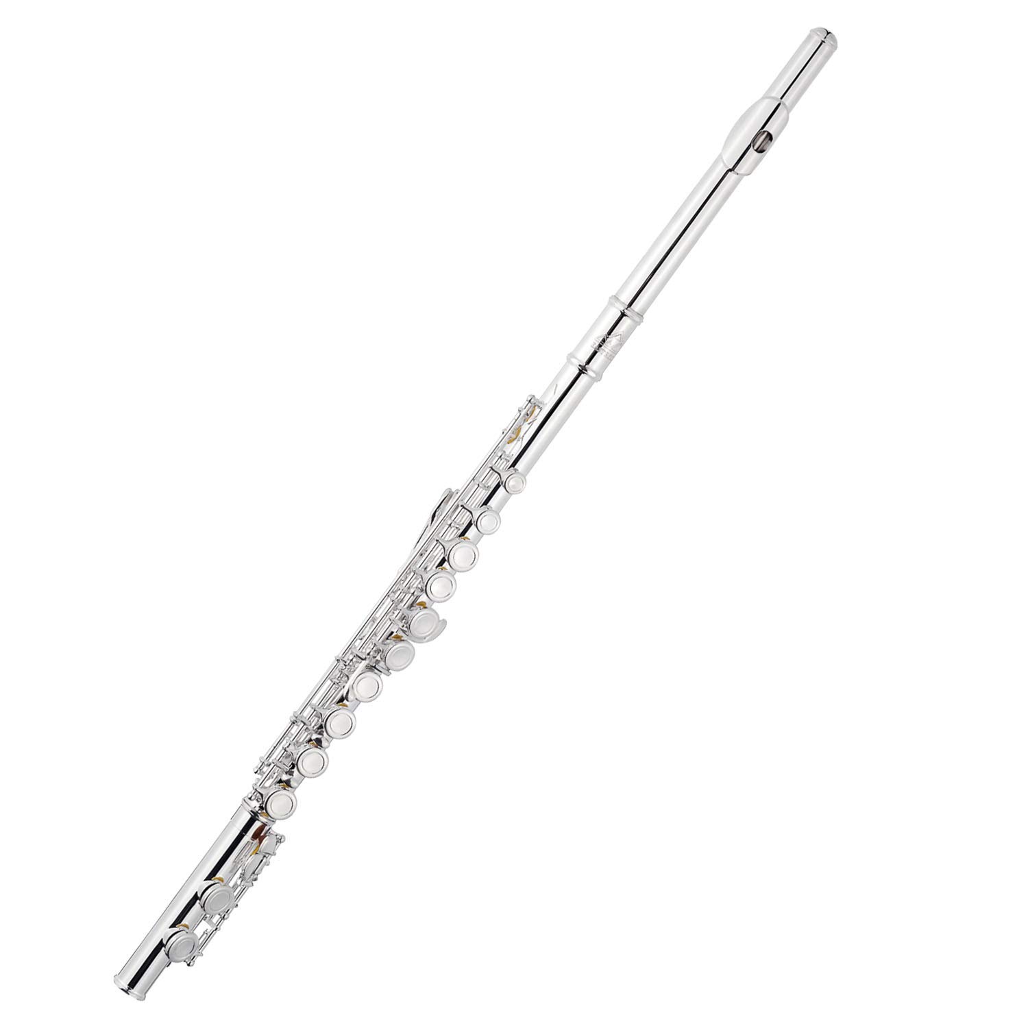 Eastrock Querflöte mit geschlossenen Löchern, 16 Löcher, Silber, für Anfänger und Kinder, Erwachsene, mit Halterung, Reinigungsset, Tuningrod, Transporttasche