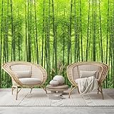 Custom Size Wall Murals,HD Green Bamboo Forest Natural Landscape，Removable Peel and Stick Self-Adhesive Wall Murals Large Photo Wallpaper