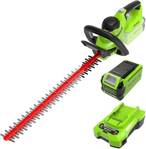 Greenworks G40HT61K2, Taille-Haie à Batterie, Lames Double Action 61 cm,