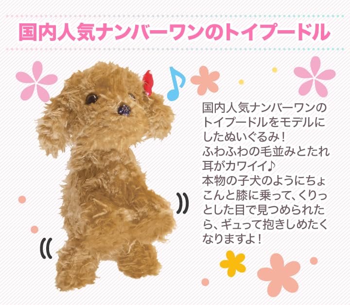 〚羽月〛トイプードル　ぬいぐるみ♡ 718BhHDvJIL._UF894,1000_QL80_.jpg