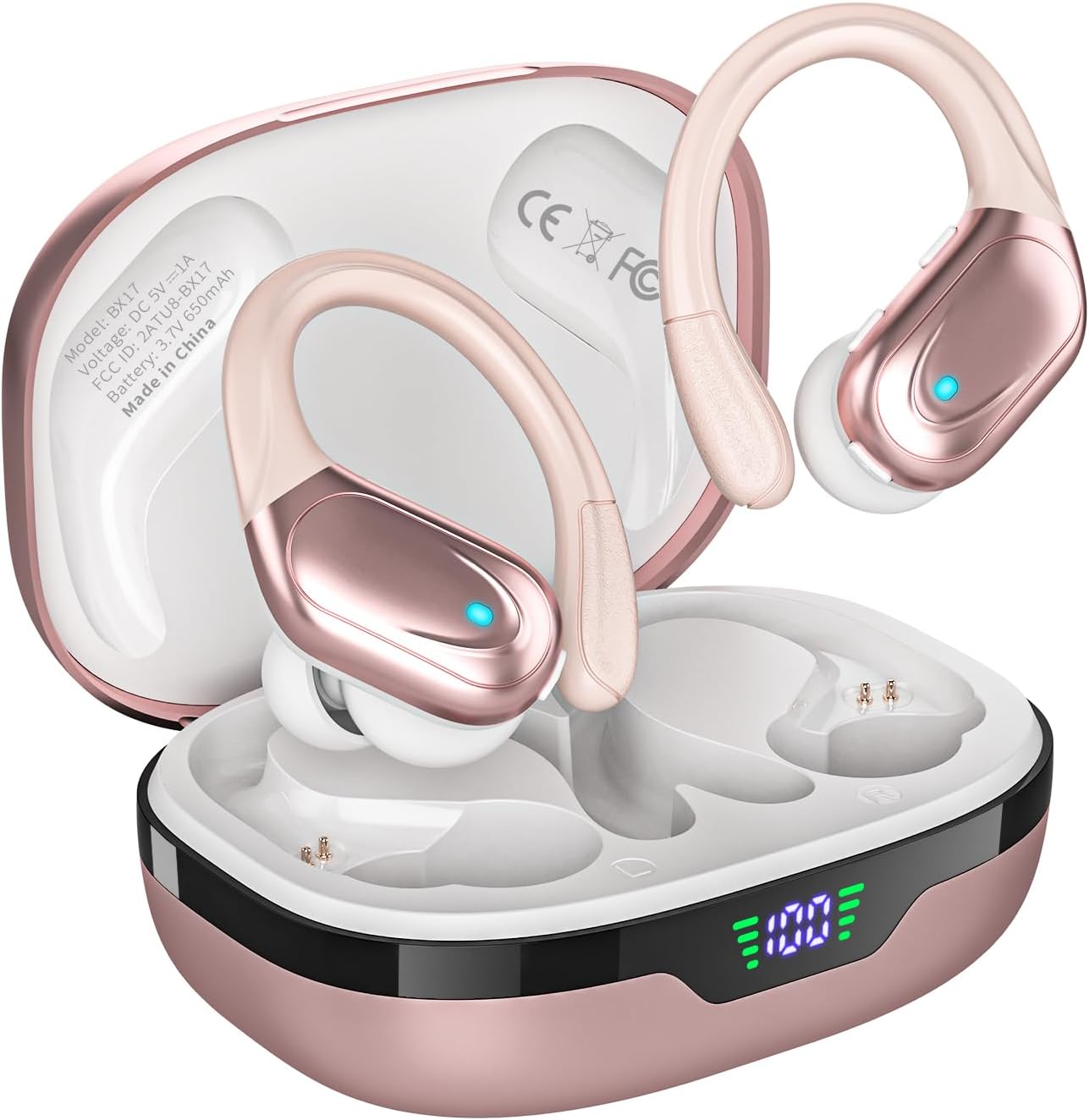 Wireless Earbuds