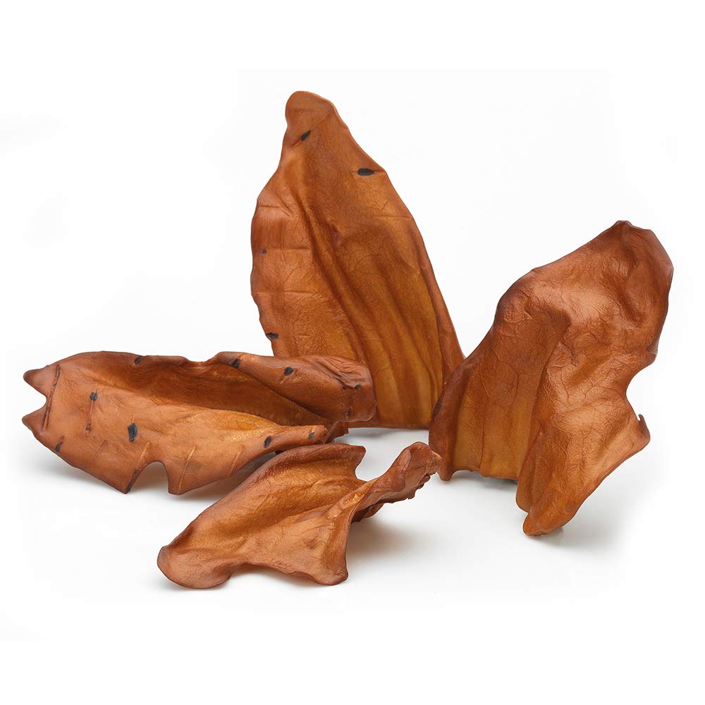 Arquivet Orecchio di Manzo Light - Borsa 10 pz - Snack 100% Naturali per Cani - Chuches, premi, premi, Caramelle, Caramelle per Cani - Tendini disidratati
