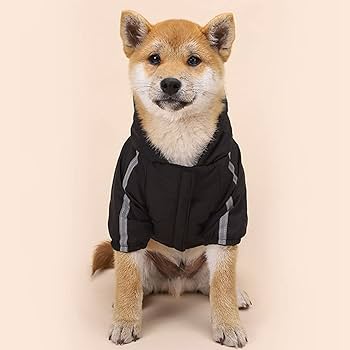 Amazon | 犬 服 大型犬 秋冬 防寒着 犬服 レインコート 防水