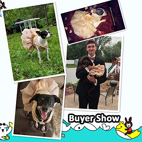 Bling Dog Dress Tutu Skirt Flower Dog Pet Cat Luxury Princess Wedding Dress Summer Dog Chihuahua Clothes (Gold, Small) - Image 6