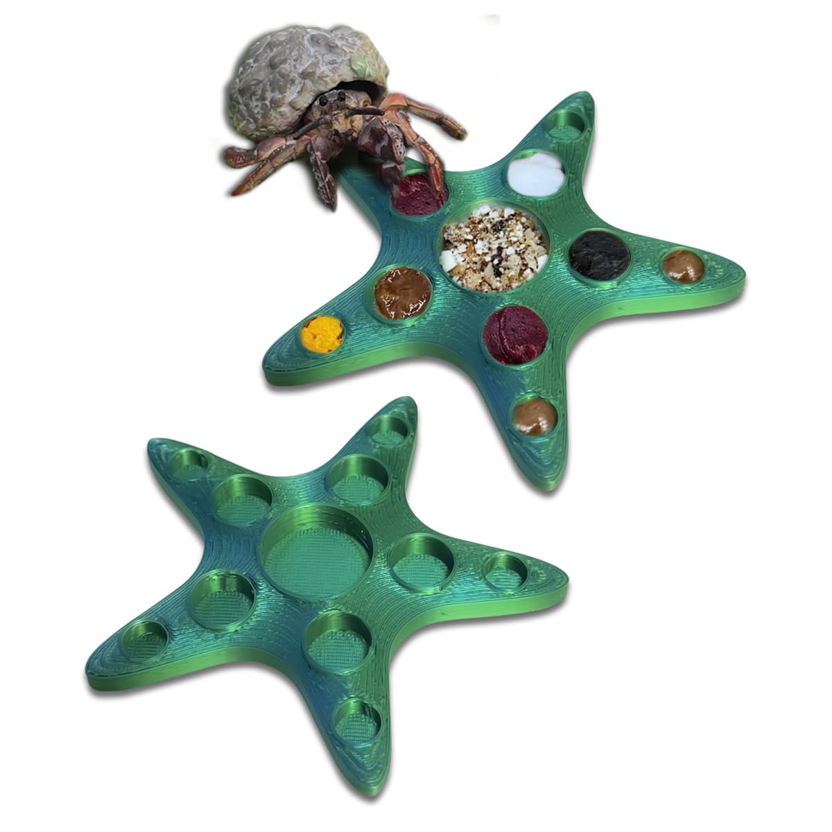 2 Pcs Hermit Crab Food Dish, 10 Grids Food & Water Bowl, Hermit Crab Tank Accessories