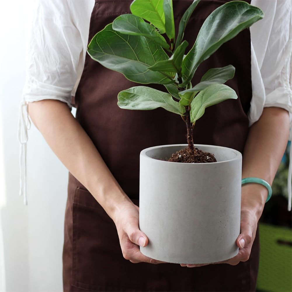 Amazon.co.jp: 植木鉢 セメント 鉢 受け皿付き 観葉植物 円筒形鉢