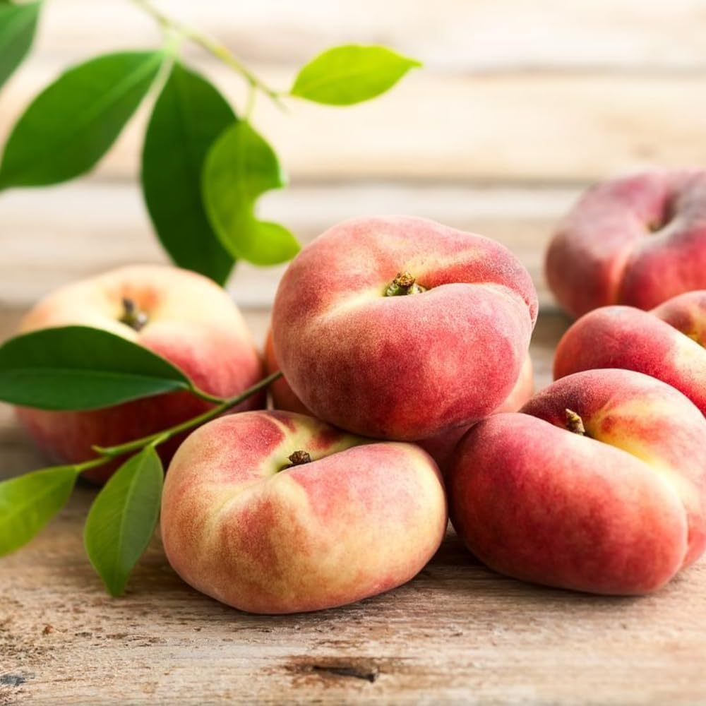 Donut Peach Tree Live Plant | Nectarine Fruit Tree | 30-36 Inches Tall in 3 Gallon Pot | Sweet Peach Tree Grafted | Ready to Fruit Stage | No Ship to CA,HI,AK