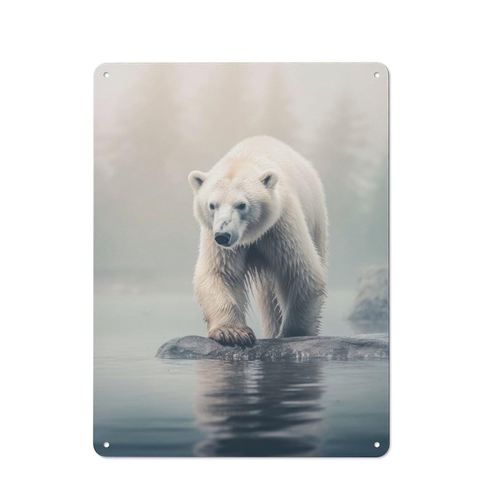 Junmoney Style-5 Tin Wall Plaque 40X30cm With Polar Bear Wildlife Photo For Guest Room Or Hallway, For Updating Guest Room And Hallway After Moving