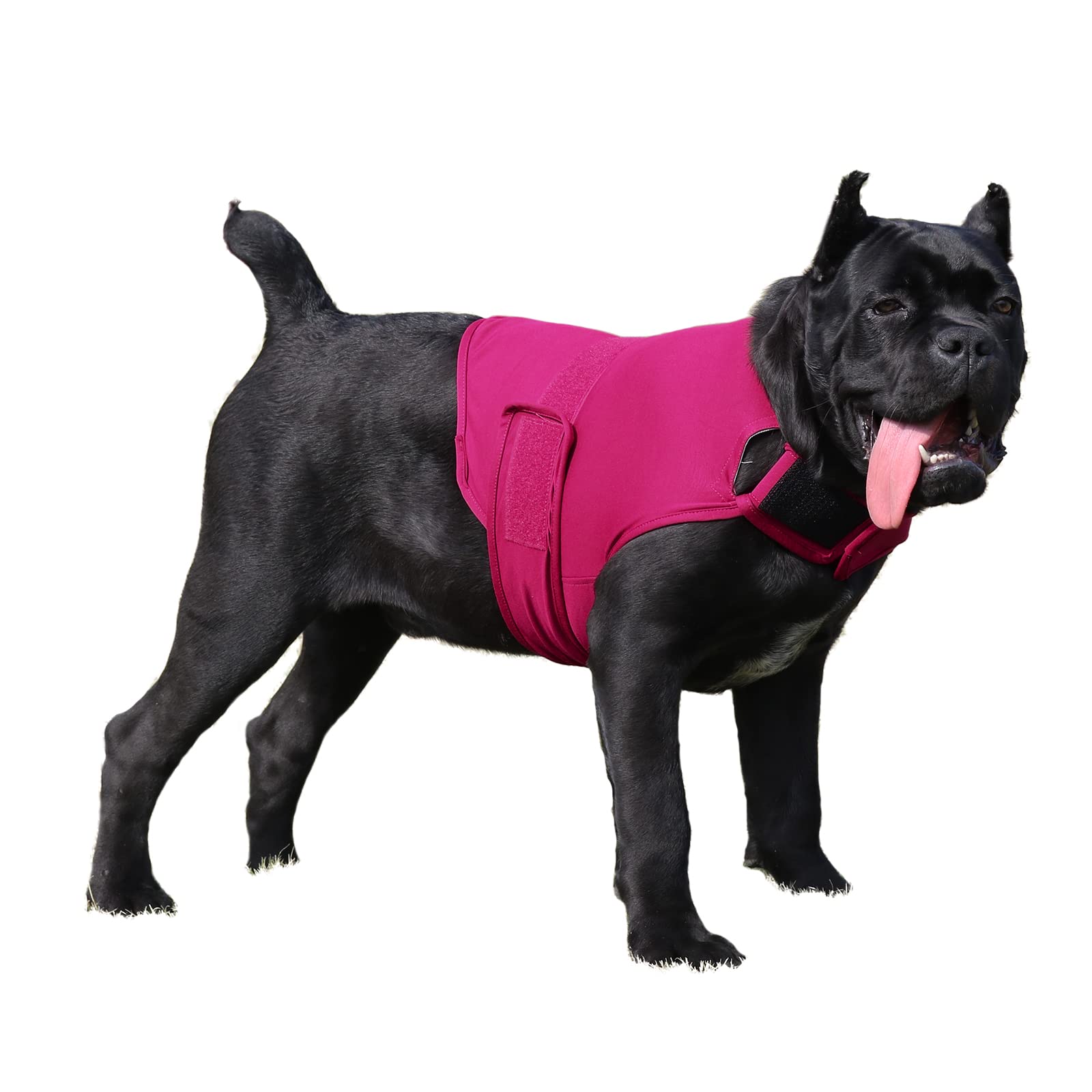 wondertail Dog Anxiety Relief Coat,Soft Dog Anxiety Jakcet Wrap,Comfortable  Dog Calming Vest for Travel,Fireworks,Vet Visits,Separation,Suitable