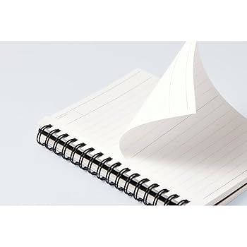 レモネード様707専用 野田琺瑯/ホワイトシリーズ レクタングル 浅型 M シール蓋付き