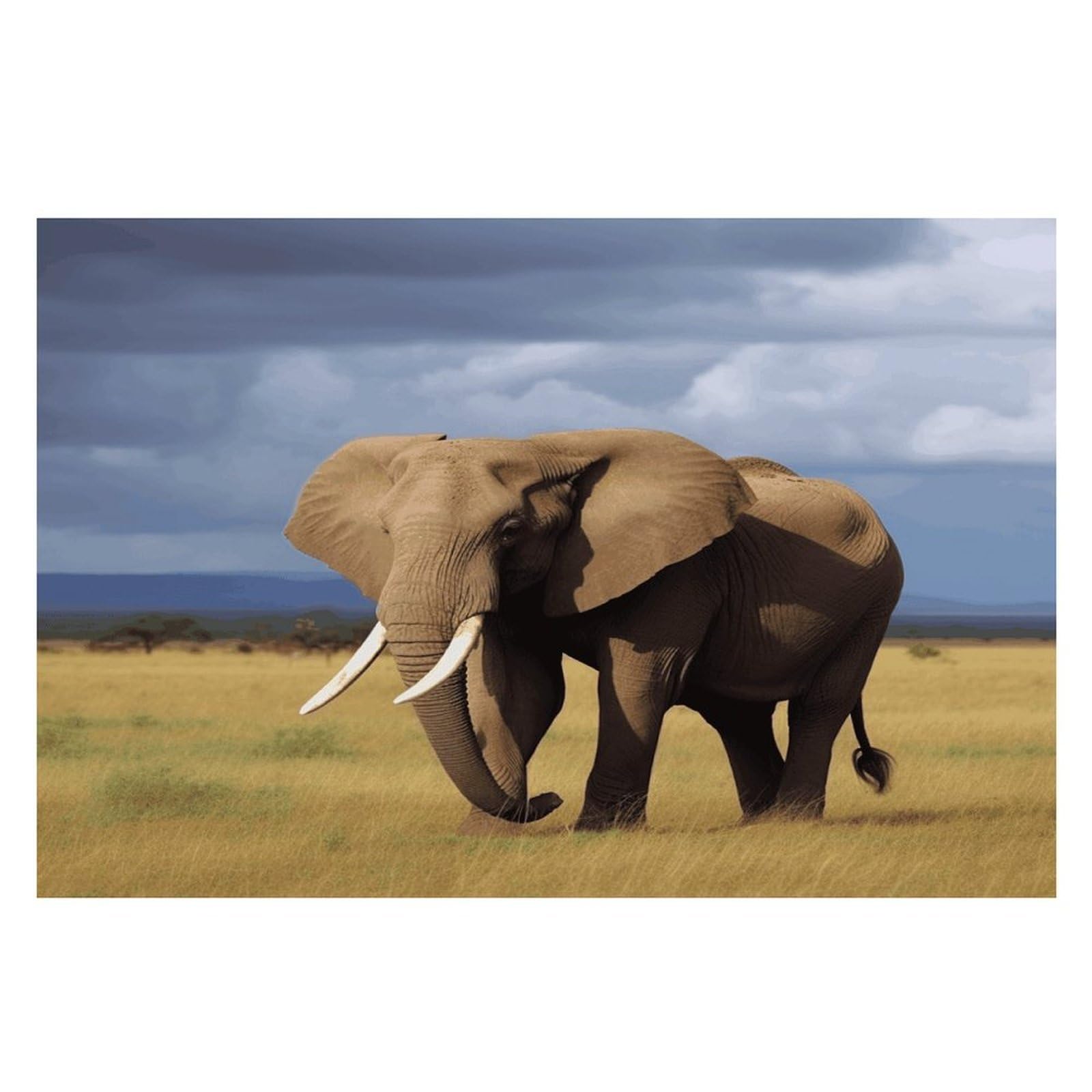 Africa Grassland Elephant Placemats Easy Clean Washable Flax Table Mats Heat Resistant Non-Slip Dining Table Cloth Place Mats for Kitchen Dining Decor Party Outdoor 12 * 18 in
