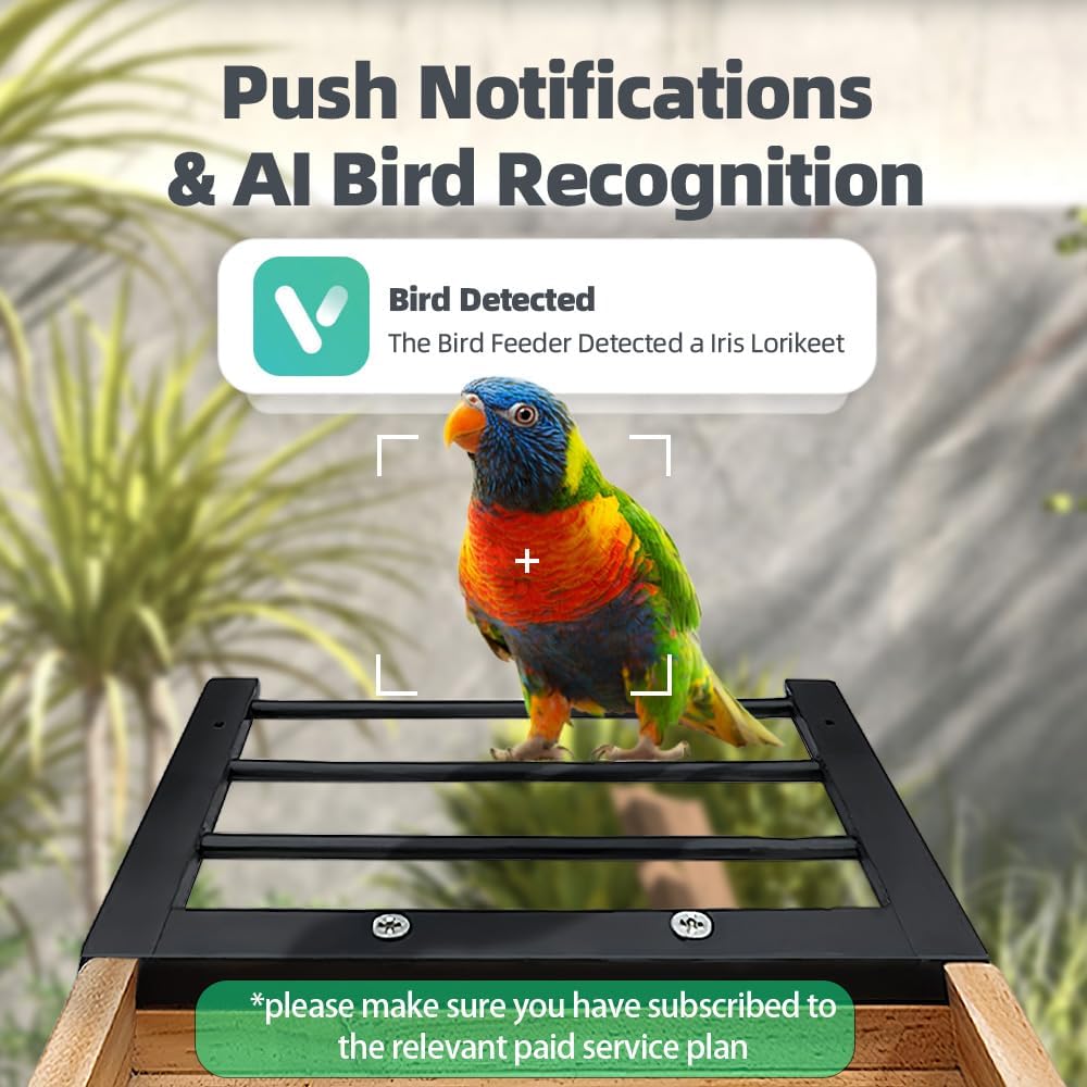 Smart Bird Feeder with Solar Camera - AI Bird 1000+ Species Recognition, 2K HD Live Stream, Real-Time Notifications & Video Recording for Outdoor Birdwatching