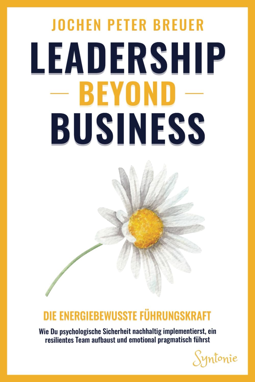 Leadership beyond Business – Die energiebewusste Führungskraft: Wie Du psychologische Sicherheit nachhaltig implementierst, ein resilientes Team aufbaust und emotional pragmatisch führst