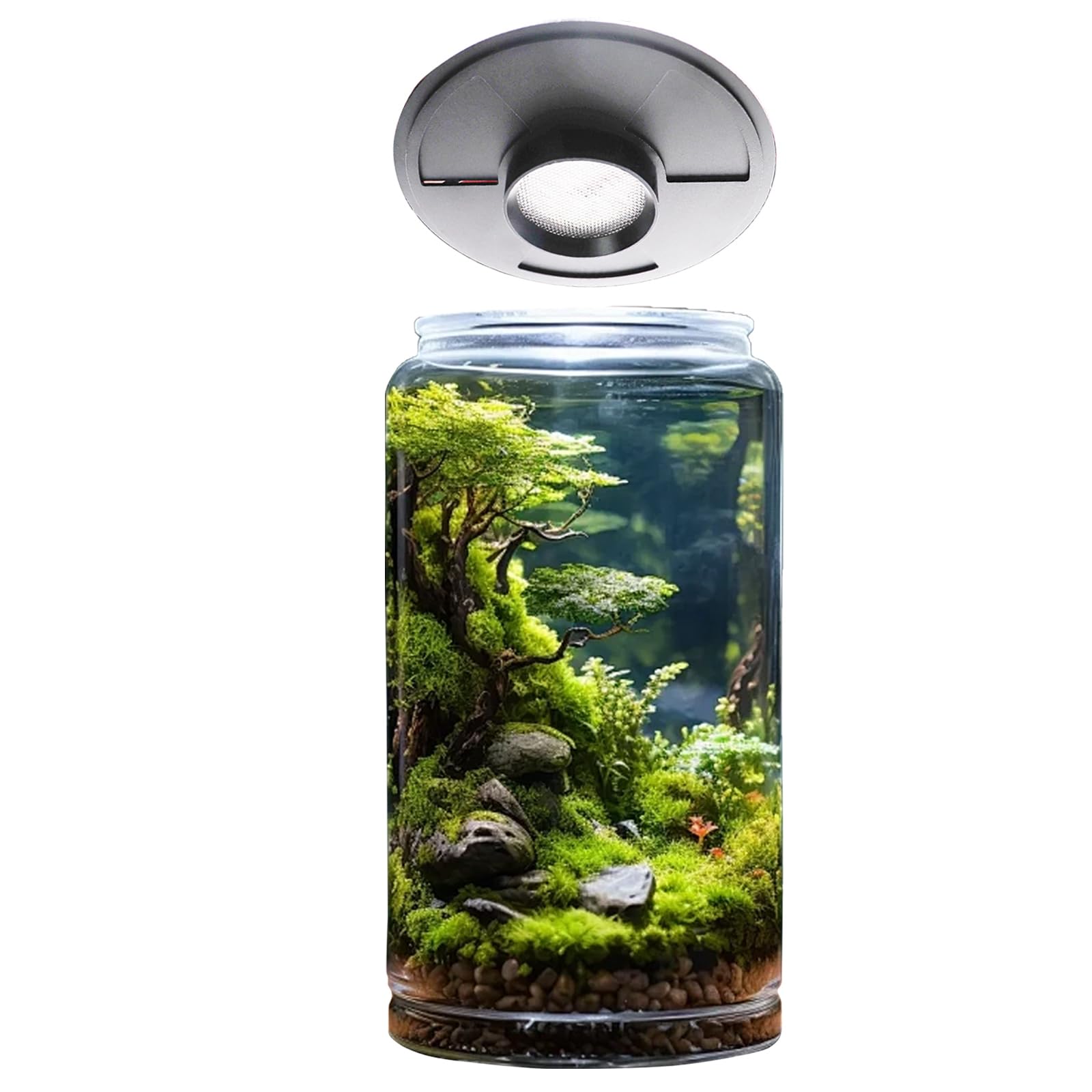 Lampa do uprawy roślin 5 W do wazonów o średnicy do 15,0 cm, światło terraria z kontrolerem do ustawiania jasności i timera, terrarium, oświetlenie do uprawy roślin