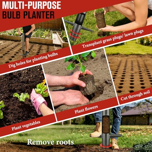 Bulb Planter Tool, 33.5 pulgadas mango largo para plantar miniatura 7