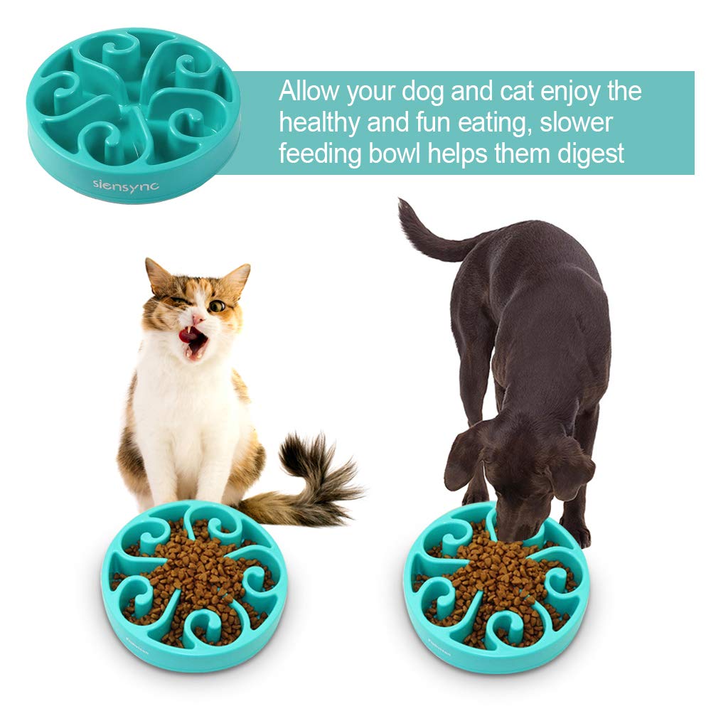 siensync dog bowl